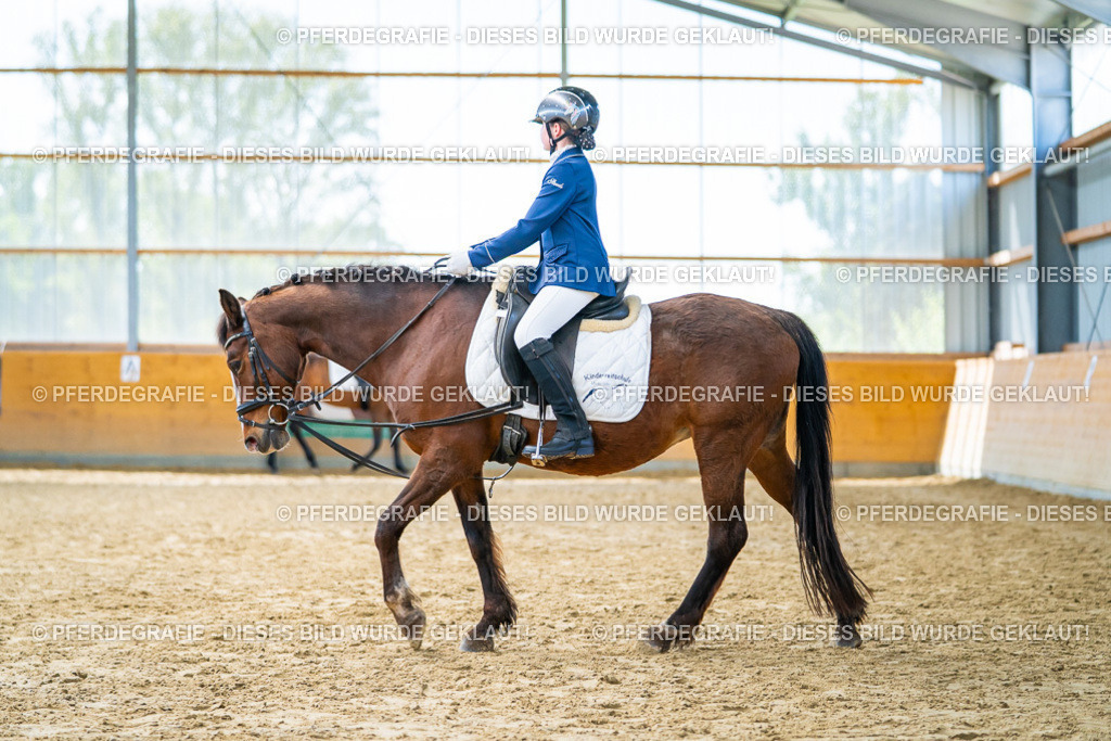 DSC00912 | Pferdegrafie