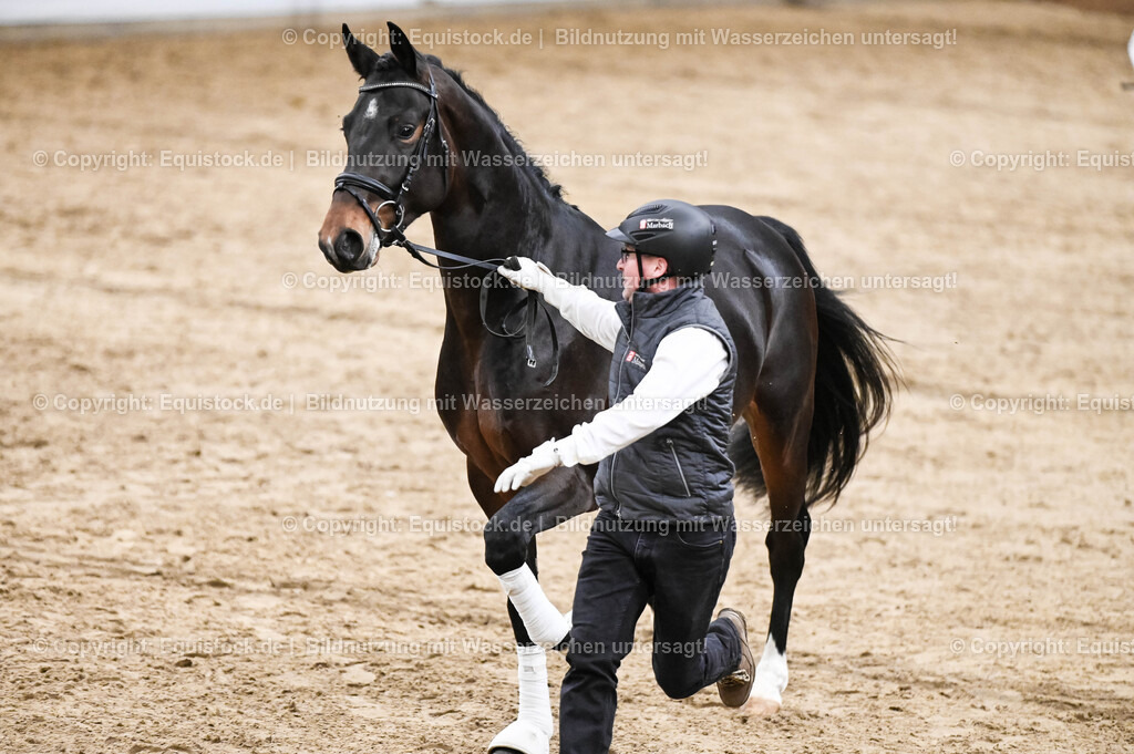 20260307_Hengstvorstellung-Marbach_0301 | equistock