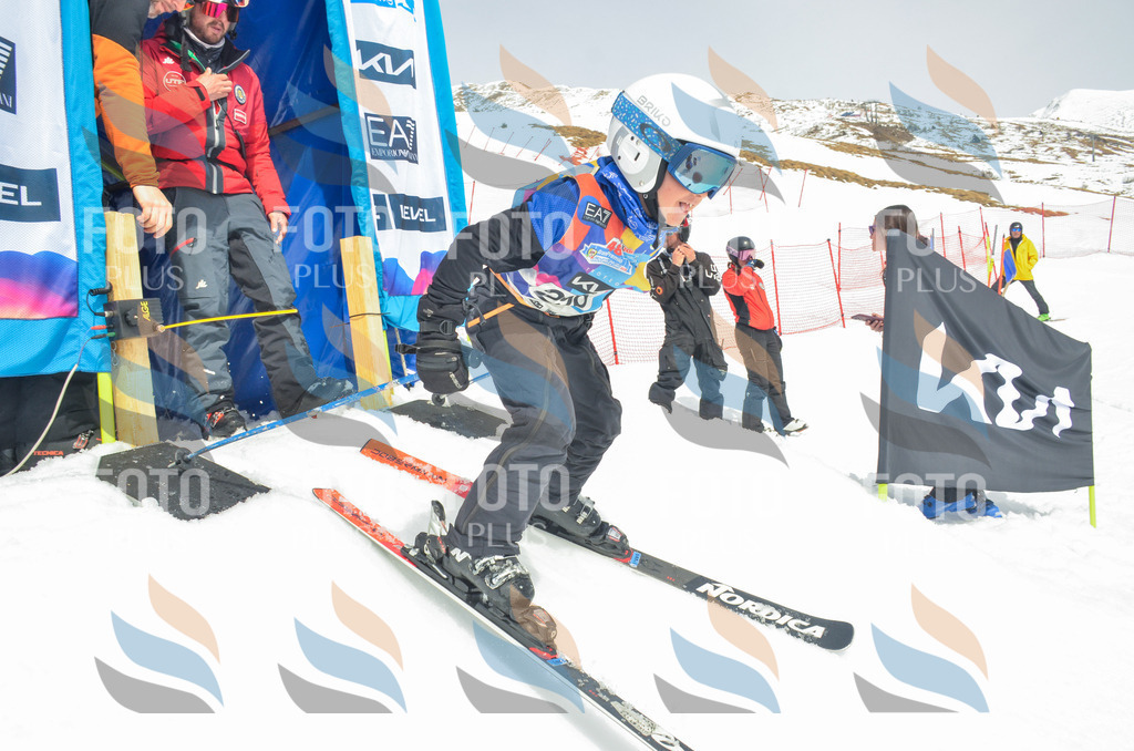 _ELE8207 | holidayphoto