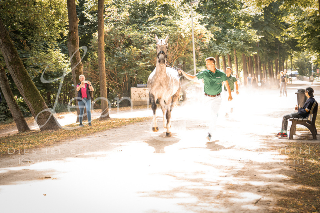 FrPfM00175 | Leoni Ertmer Photography - Realisiert mit Pictrs.com