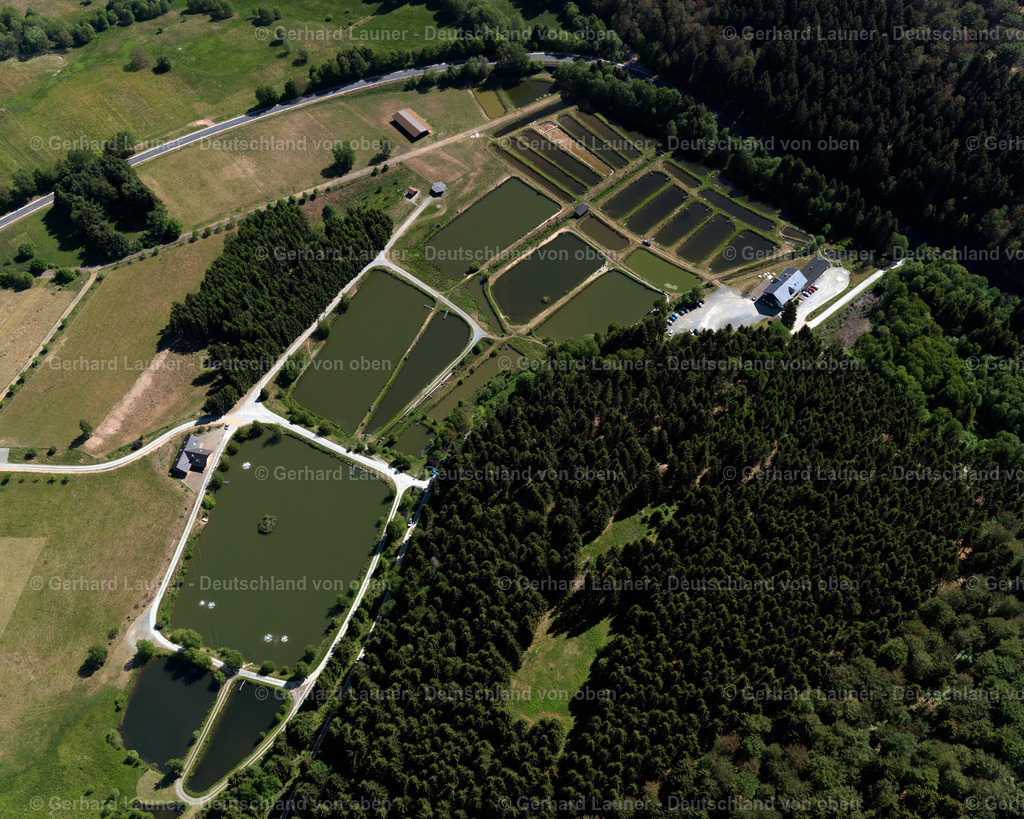 Forellenhof-Trauntal-3111582 | Forellenhof-Trauntal