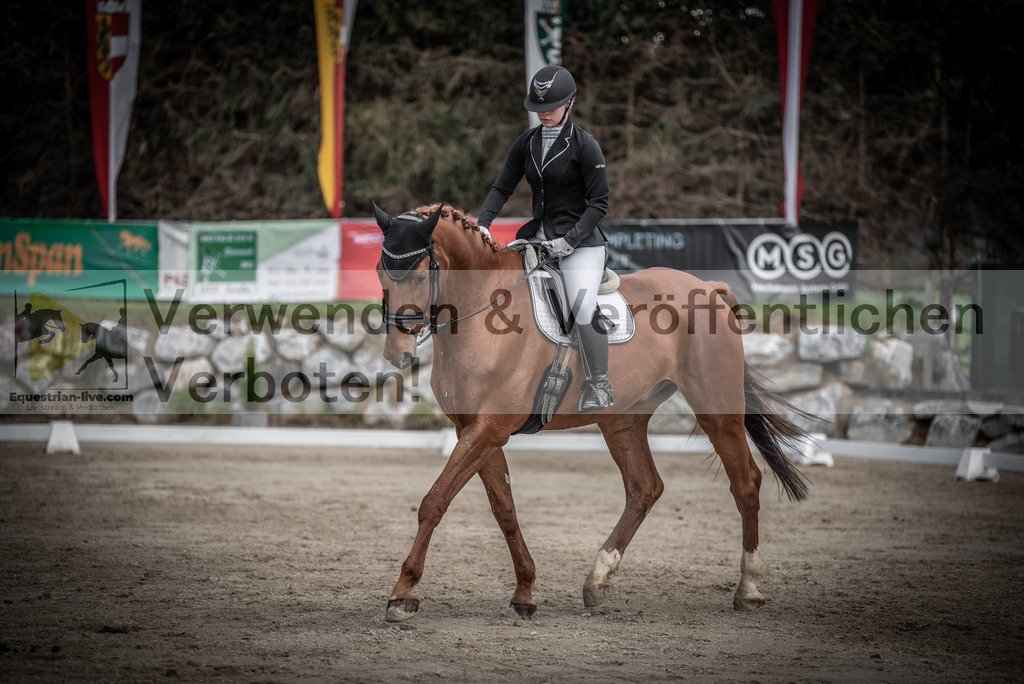 DSC_0784 | equestrian-live-com