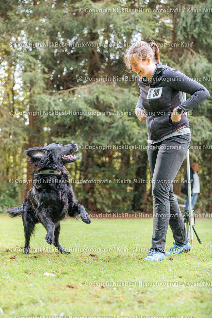 THS-HSV-Blumenthal-2026-Nickbest-Hundefotografie-1690 | Dein Hund! Dein Moment! Deine Erinnerungen! Hundefotografie in Bremen Blumenthal. Ich fange die besonderen Momente deines Vierbeiners ein – ob Indoor mit Blitzanlage oder in der freien Natur. Sicher dir dein Moment und dein Termin für eure Erinnerungen.
