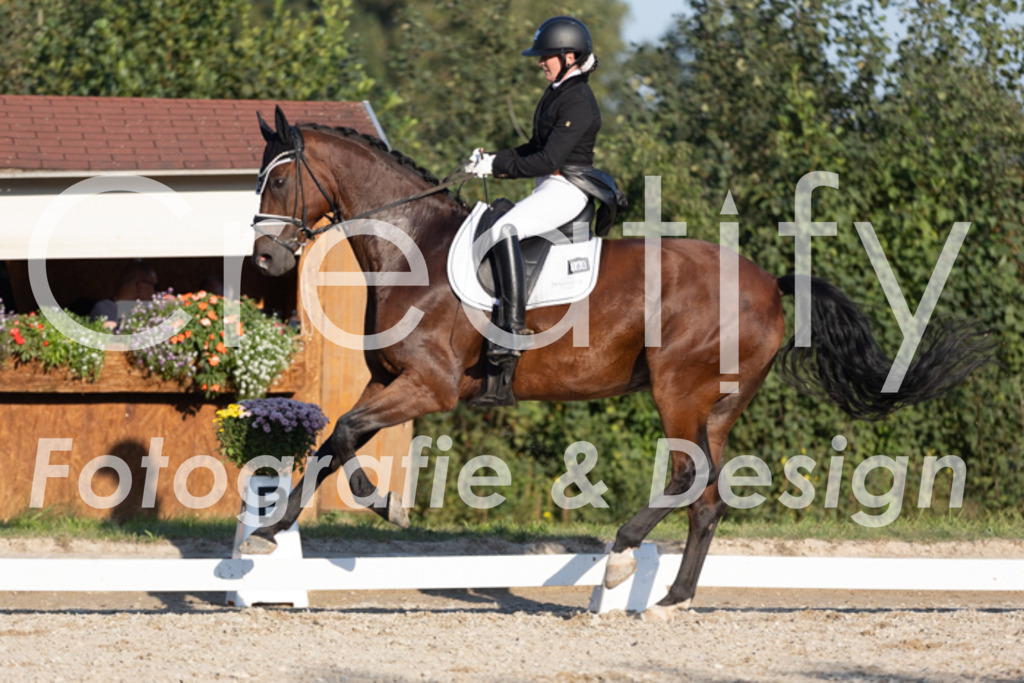 IMG_1303 | Creatify Fotografie