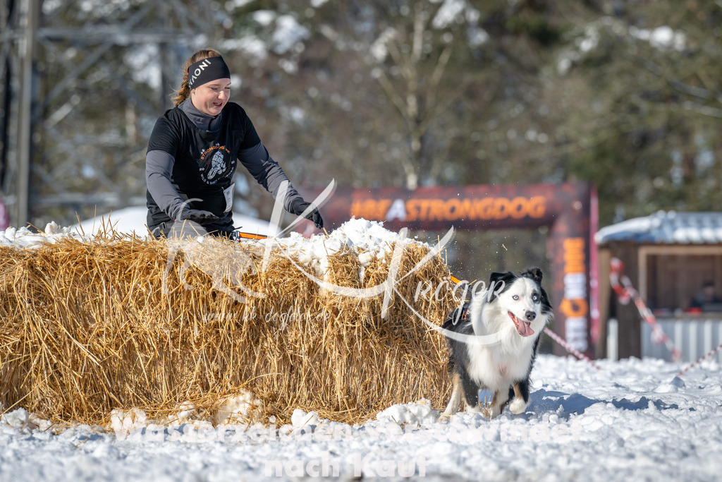 1100_ZZ94127-2 | kk-dogfotos