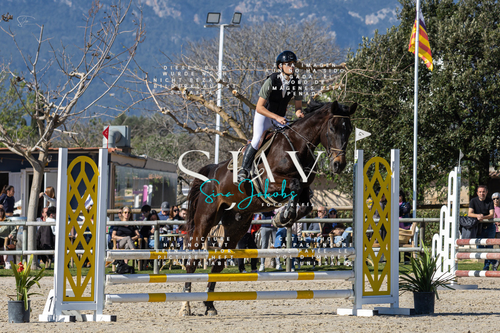 IMG_8955 | s-jay-photography - Realisiert mit Pictrs.com