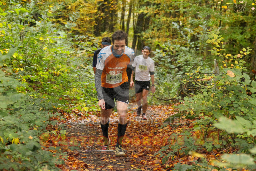 251026_1210_EV4_4578 | Sportfotografie im Rhein-Sieg Kreis, Köln, Bonn, NRW, Rheinland Pfalz, Hessen, etc. Unser Tätigkeitsfeld umfasst den Laufsport vom Volkslauf über den Marathon, Duathlon, Triathon bis zum Ultralauf wie Kölnpfad Ultra oder Schindertrail.