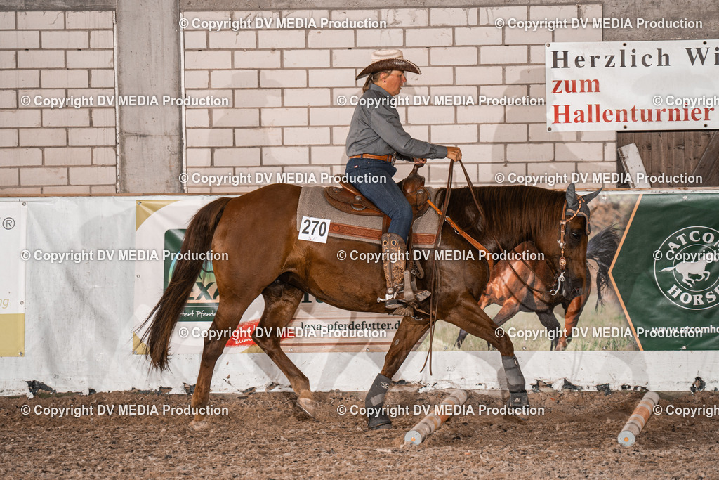 ZH200813 | dv-media-shop - Realisiert mit Pictrs.com