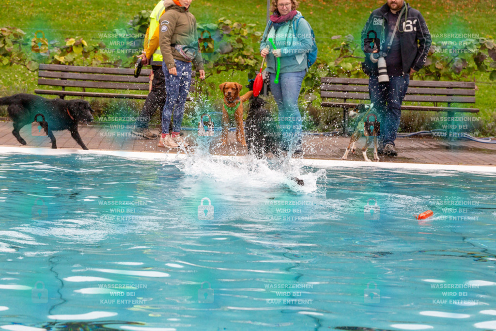 _HP_7294_1000o | HetPix, HetPix Fotodesign, Fotografie, Fotodesign, Webshop, Sportfotografie, Portraitfotografie, Onlineshop, Sportfotografie, Polch, Motorsportfotografie, Eventfotografie