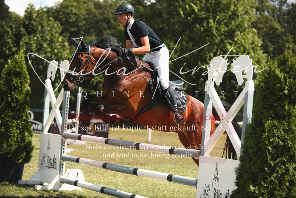 DSC_6631 | Pferde- und Turnierfotografie in Westsachsen. Pferdeportraits, Auftragszeichnungen und intuitive Kunst.