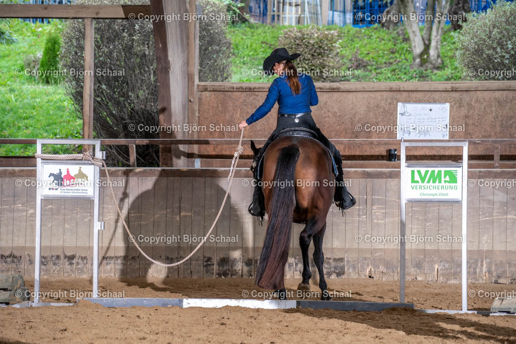 LMB03865 | BS-foto