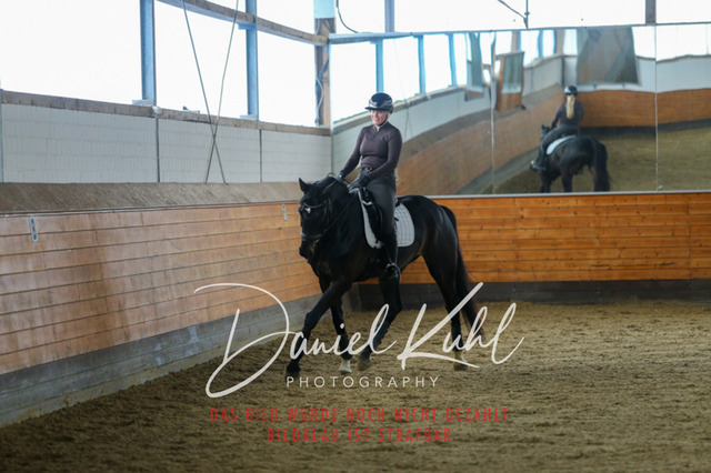 IMG_3710 | Turniersportfotografie; Pferdefotografie; Dressurfotografie