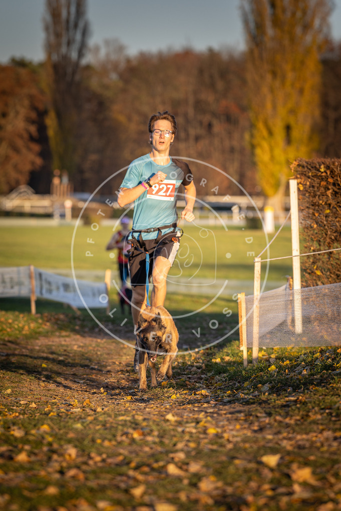 CaniXpix_DV3A5060 | Hundefotografie, Tierfotograf, Pfotenfotografie, Fotoshooting Hund, Hunde Portrait, Hundesport, Hundeportraits, Heideshooting, Hunde, Sportfotograf, Hundefotograf, Turnierhundsport, THS,  - Realisiert mit Pictrs.com