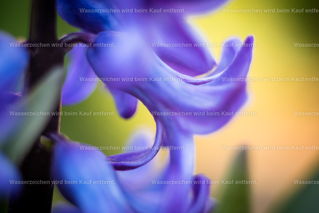 Urvertrauen, Wahrheit und Klarheit | Die Botschaft zum Bild lautet: Die Energien dieses Bildes öffnen Kanäle im oberen Bereich deines Chakrasystems. Sie lassen auch nur Wahrheiten zu. Wenn Du das Gefühl hast, jemand spricht Unwahrheit oder du sprichst nicht die Wahrheit in deinem Leben, konzentriere dich auf die Energie des Bildes und du erkennst Glasklar, welche Wahrheit gesehen werden möchte.