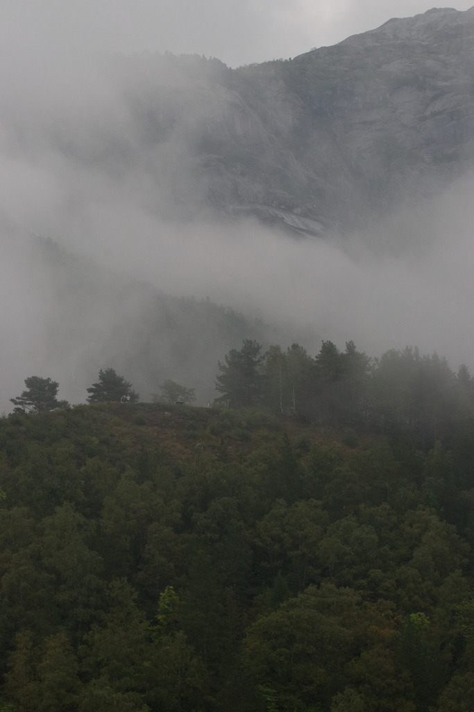 Nebel über den Wäldern | Landschaftsbilder-MV - Realisiert mit Pictrs.com