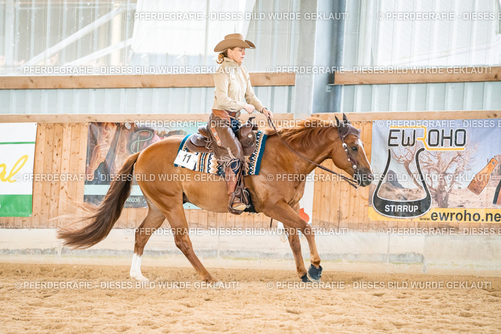 DSC01061 | Pferdegrafie