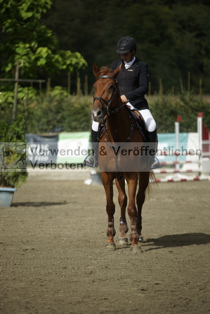 _DSC5169 | equestrian-live-com