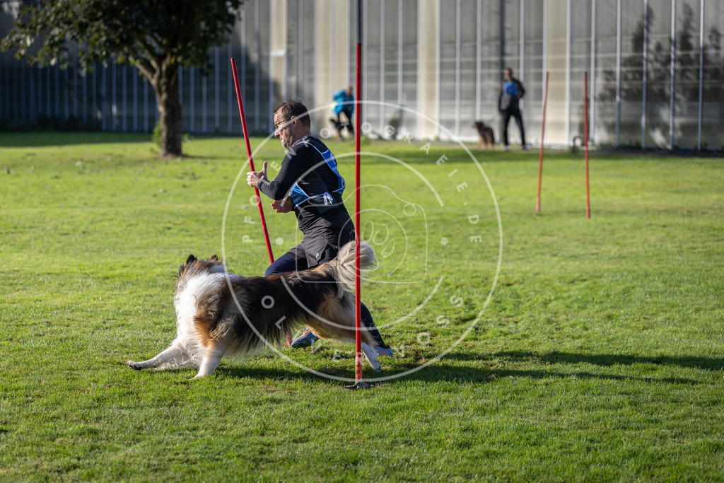 Pfotenfotografie.de_DV3A3259 | Hundefotografie, Tierfotograf, Pfotenfotografie, Fotoshooting Hund, Hunde Portrait, Hundesport, Hundeportraits, Heideshooting, Hunde, Sportfotograf, Hundefotograf, Turnierhundsport, THS, canicross - Realisiert mit Pictrs.com
