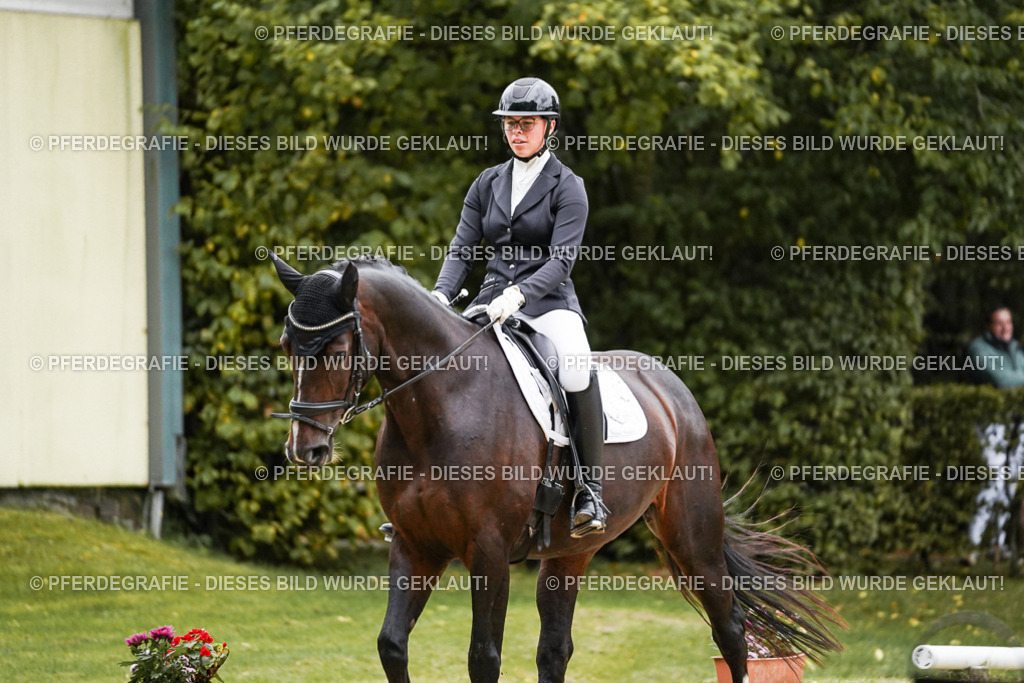 DSC06704 | Pferdegrafie