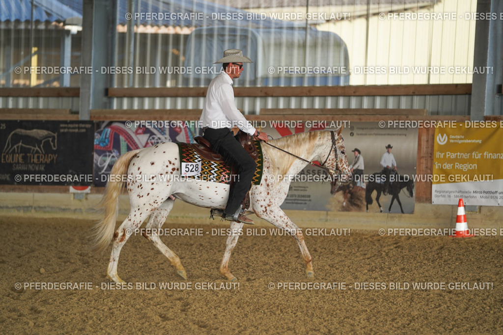 DSC07963 | Pferdegrafie