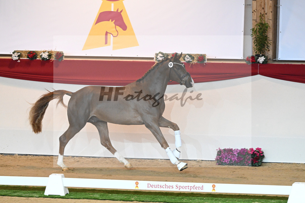 Kat-Nr. 58 Fuerst Samarant_Beckmann_1230262 | hf-fotografie - Realisiert mit Pictrs.com