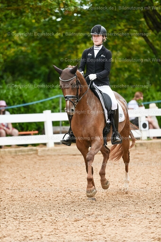 20230715_07_Dressurpferdeprfg. Kl.L_0055 | equistock