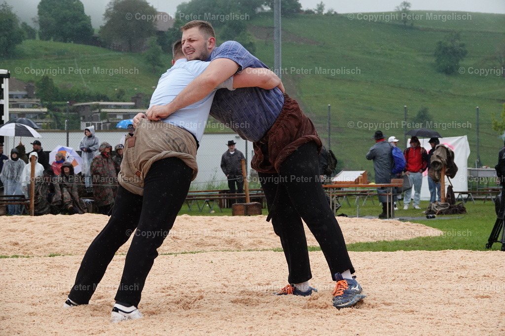 DSC00752 | Schwingen - Realisiert mit Pictrs.com