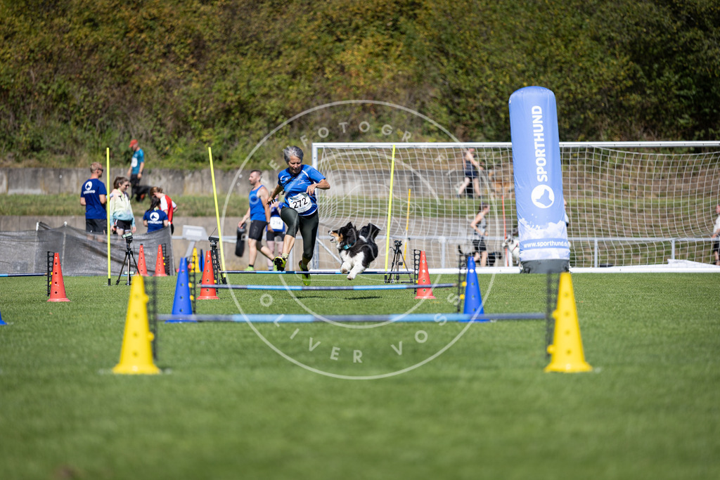 Pfotenfotografie_DV3A6854 | Hundefotografie, Tierfotograf, Pfotenfotografie, Fotoshooting Hund, Hunde Portrait, Hundesport, Hundeportraits, Heideshooting, Hunde, Sportfotograf, Hundefotograf, Turnierhundsport, THS,  - Realisiert mit Pictrs.com