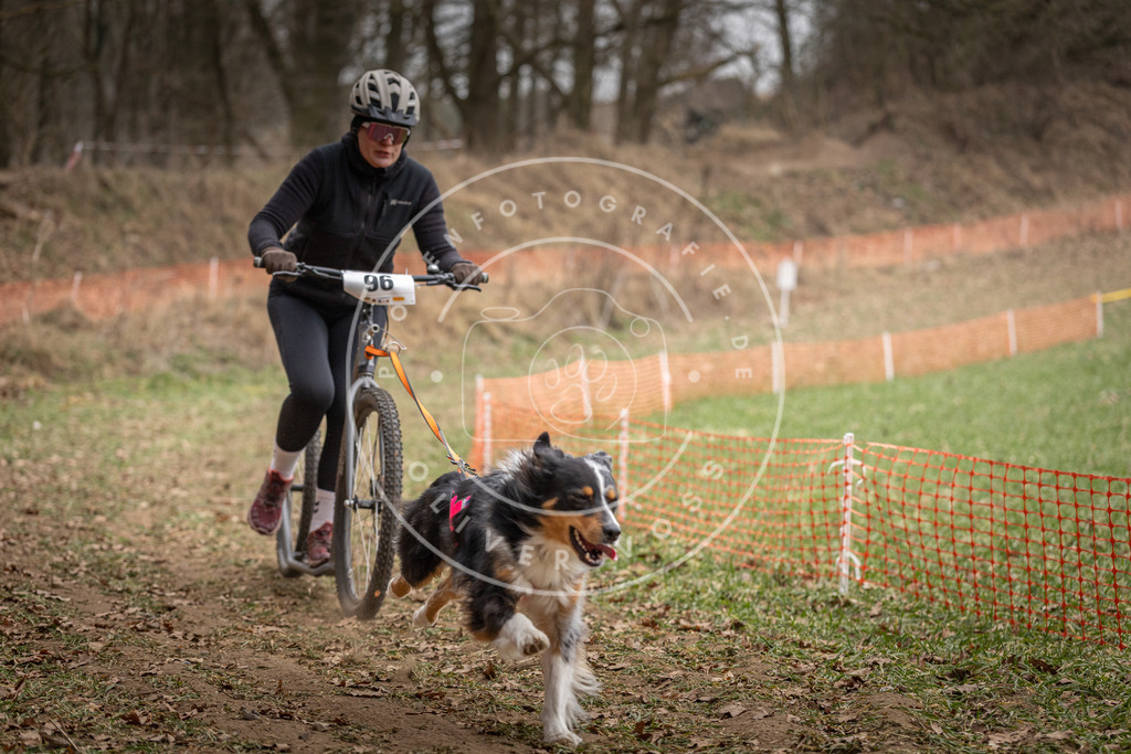 Pfotenfotografie_DV3A7077 | Hundefotografie, Tierfotograf, Pfotenfotografie, Fotoshooting Hund, Hunde Portrait, Hundesport, Hundeportraits, Heideshooting, Hunde, Sportfotograf, Hundefotograf, Turnierhundsport, THS,  - Realisiert mit Pictrs.com