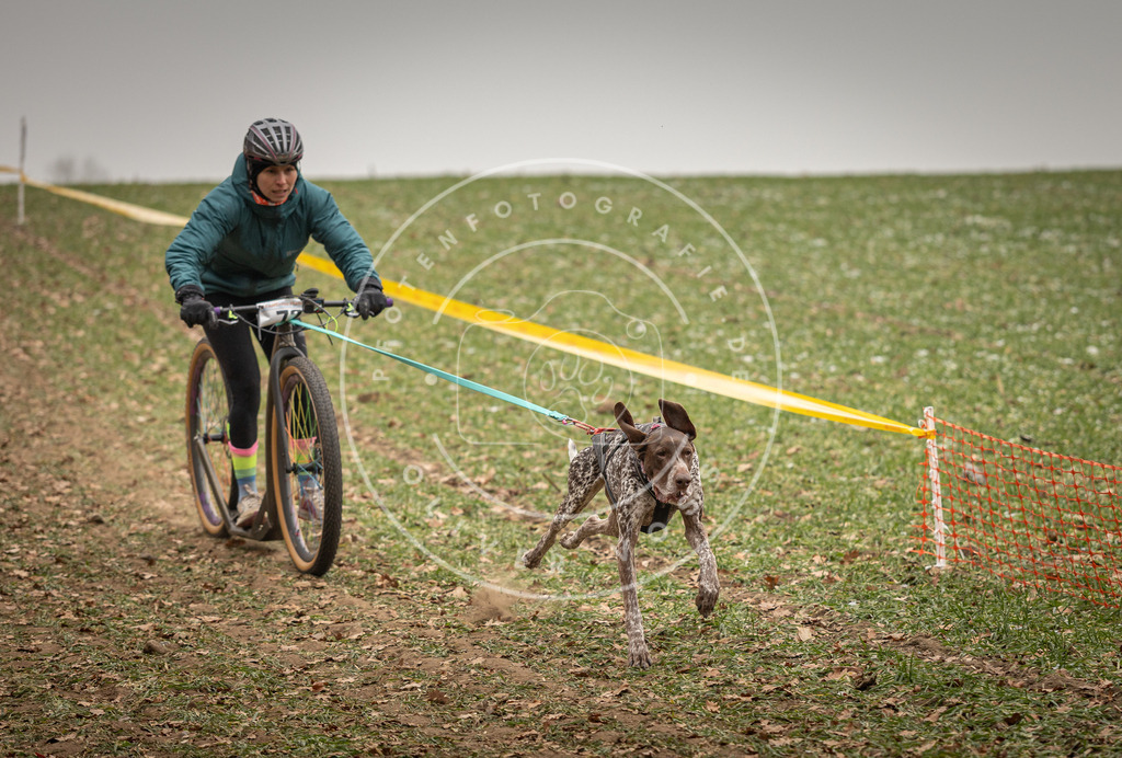 Pfotenfotografie_DV3A3577 | Hundefotografie, Tierfotograf, Pfotenfotografie, Fotoshooting Hund, Hunde Portrait, Hundesport, Hundeportraits, Heideshooting, Hunde, Sportfotograf, Hundefotograf, Turnierhundsport, THS,  - Realisiert mit Pictrs.com