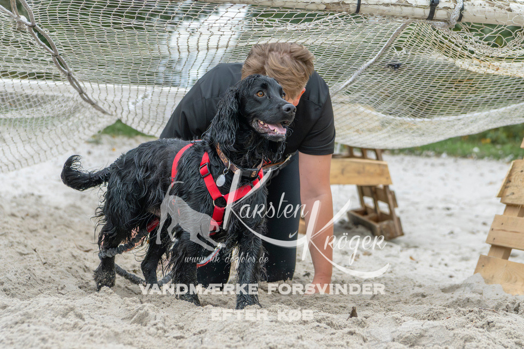1107_ZZ95616 | kk-dogfotos