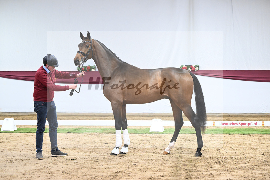 Kat-Nr. 43 Va Pensiero x Secret_Philipp Stuppert_47251496 | hf-fotografie - Realisiert mit Pictrs.com