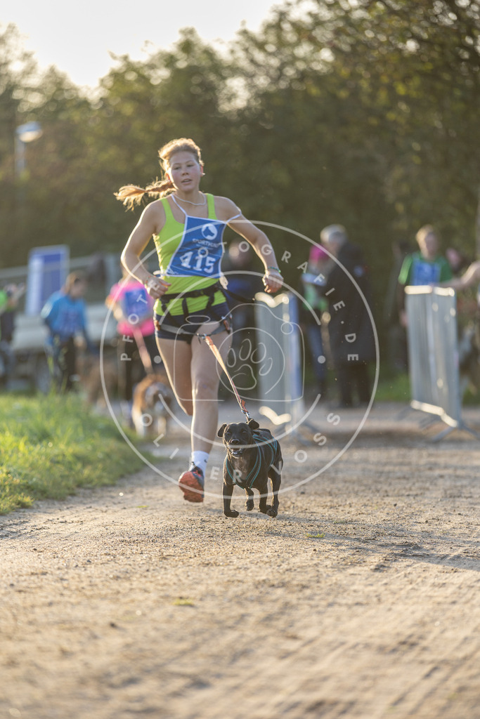 Pfotenfotografie.de_DV3A2454 | Hundefotografie, Tierfotograf, Pfotenfotografie, Fotoshooting Hund, Hunde Portrait, Hundesport, Hundeportraits, Heideshooting, Hunde, Sportfotograf, Hundefotograf, Turnierhundsport, THS, canicross - Realisiert mit Pictrs.com