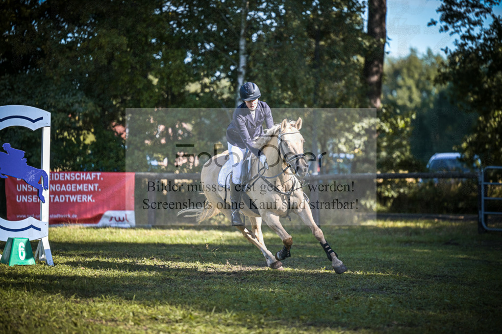 DOS_1706 | Entdecke hochwertige Reitturnierfotos von Foto Oger. Professionell, emotional und authentisch – jetzt Lieblingsmomente im Shop bestellen.Deutschlandweite Turnierfotografie. - Realisiert mit Pictrs.com