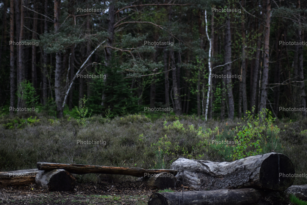 IMG_0311 | phototaetig