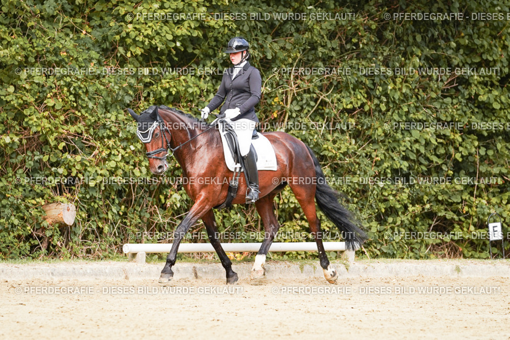 DSC03411 | Pferdegrafie