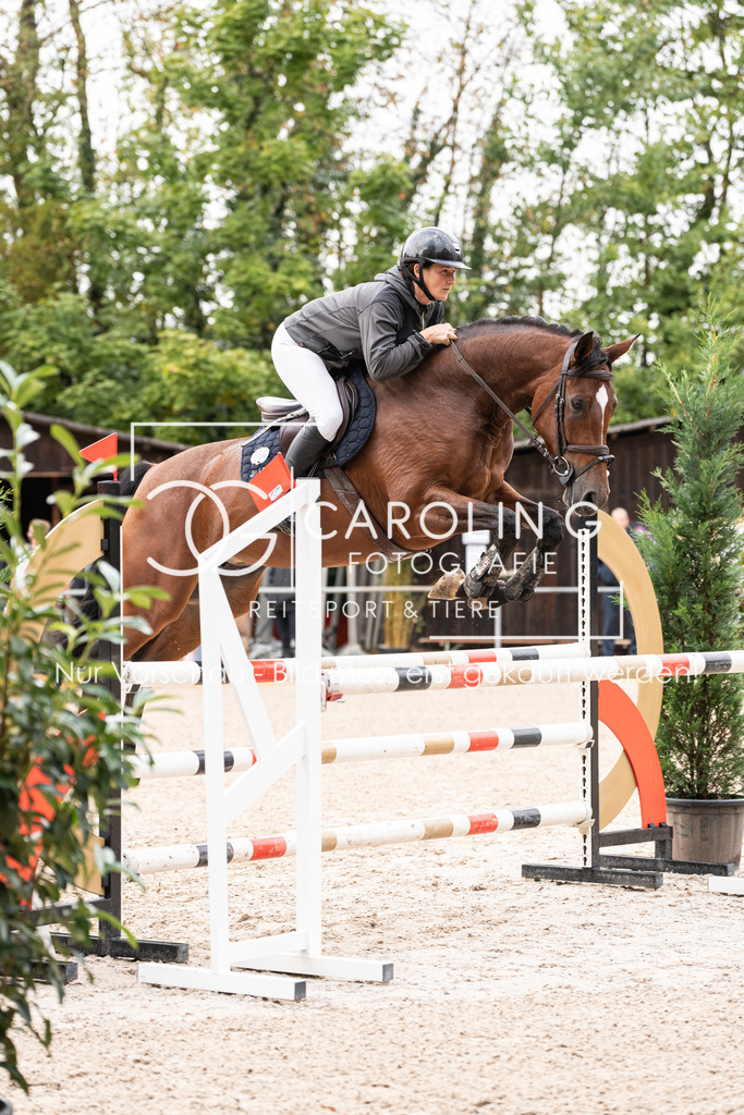 DSC03336 | Carolin Gieschke