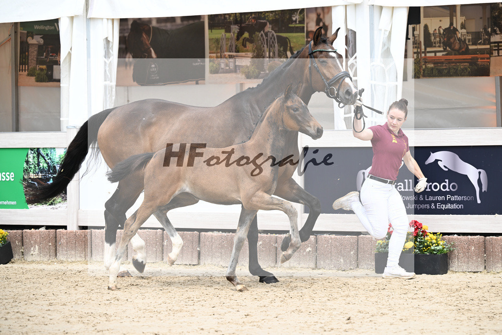 St. Emilion x Zoom_SF_Braig u Meyer_12250622 | hf-fotografie - Realisiert mit Pictrs.com