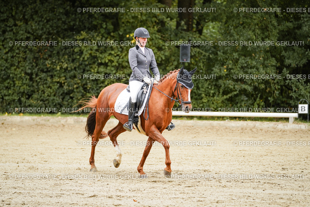 DSC08606 | Pferdegrafie