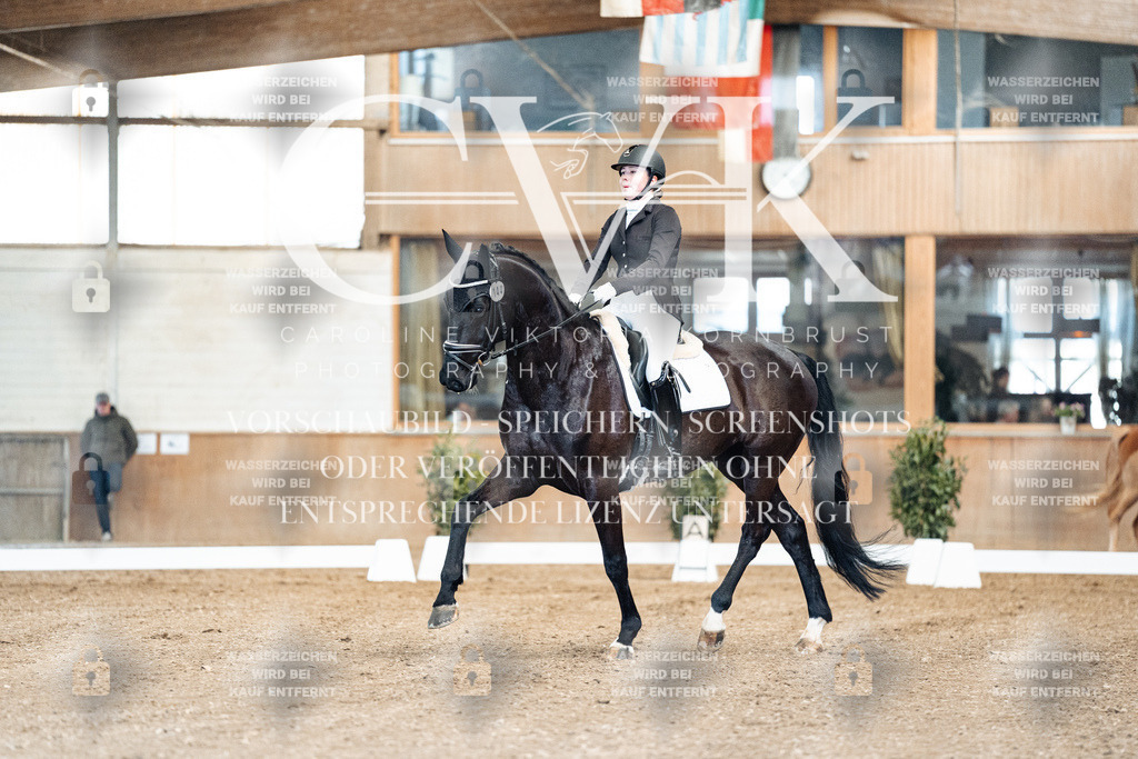 CK900651 | Turnierfotografie Pferdefotografie Trier Rheinland-Pfalz Pferdesport Reitsport Tierfotografie Sportfotografie Pferdevideo Pferdevideografie Equestrianvideography equestrianphotography  - Realized with Pictrs.com