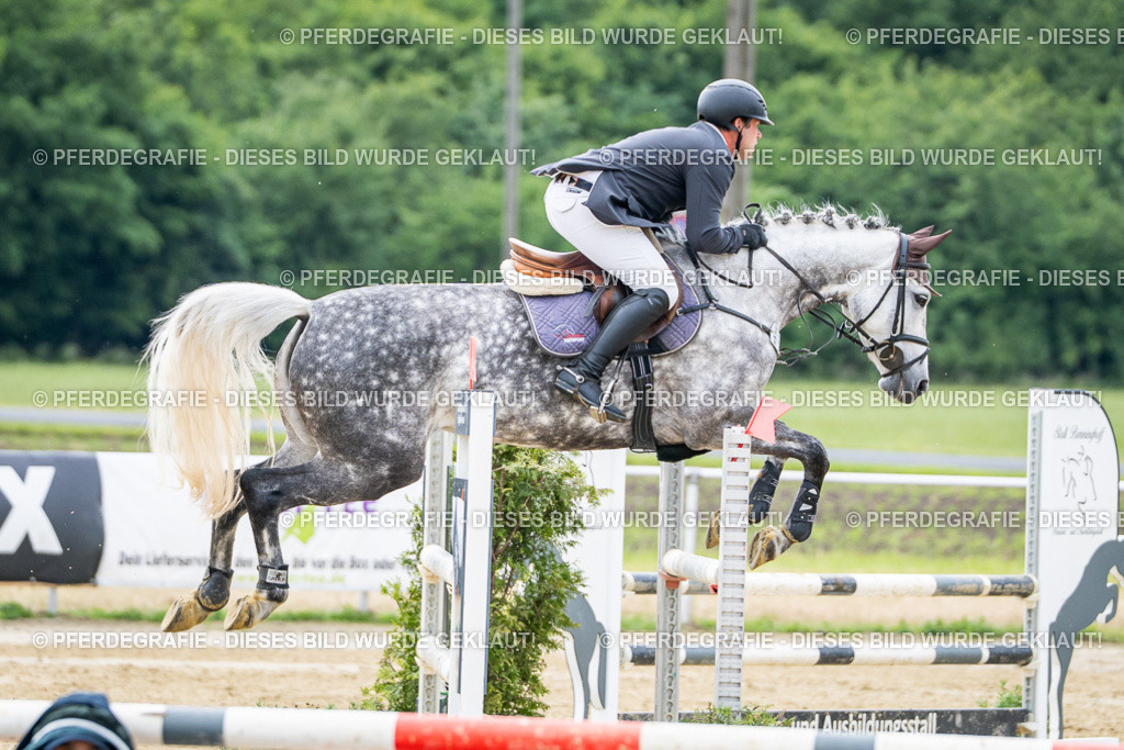 DSC04814 | Pferdegrafie