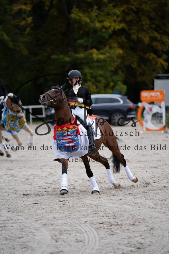 A7V01229 | Turnier/Reitfotograf