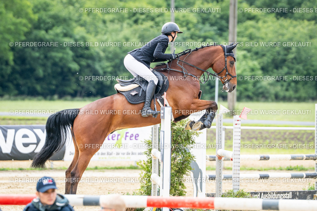 DSC05113 | Pferdegrafie