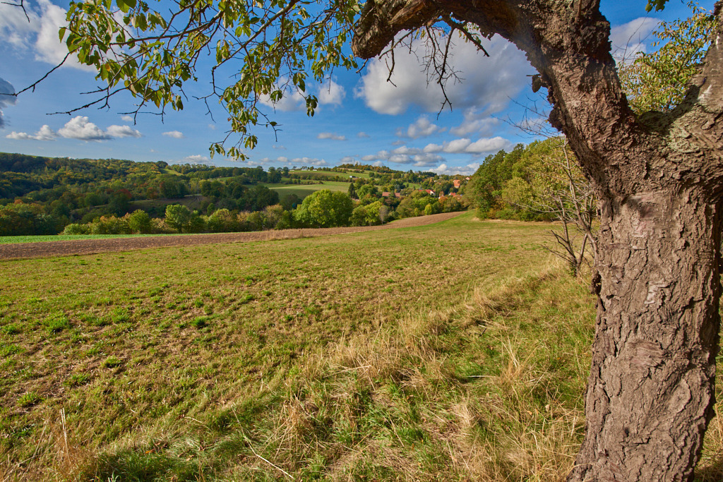 Blick zum Gefechtsfeld Maxen 01 | Bedeutsame Landschaften Deutschlands - Realisiert mit Pictrs.com