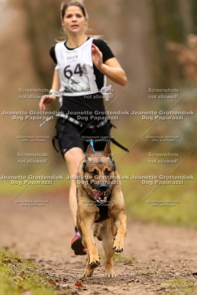 Dog Paparazzi - Speedhunter Mannheim  2025-193 | Dog Paparazzi Jeanette Grottendiek Fotografie & Videografie