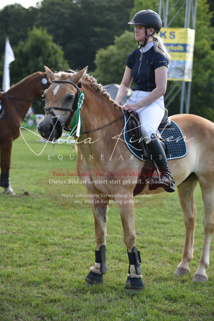 DSC_8986 | Pferde- und Turnierfotografie in Westsachsen. Pferdeportraits, Auftragszeichnungen und intuitive Kunst.