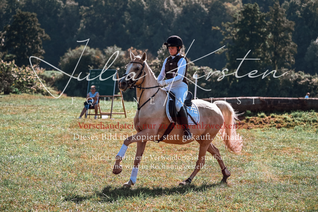 DSC_1111 | Pferde- und Turnierfotografie in Westsachsen. Pferdeportraits, Auftragszeichnungen und intuitive Kunst.