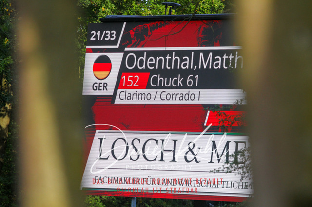 DKP42588 | Turniersportfotografie; Pferdefotografie; Dressurfotografie