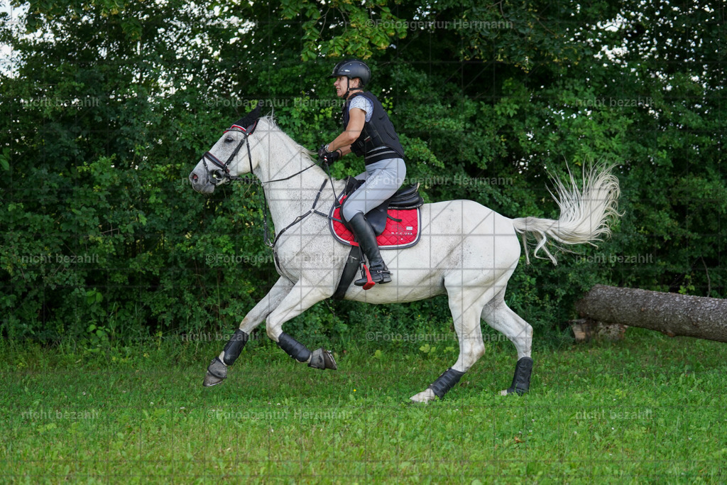 20240622-FAH07702 | Turnierfotografen Bayern, Reitsportbilder aus dem Geländekurs mit Felix Etzel auf dem Gut Waitzacker 2024