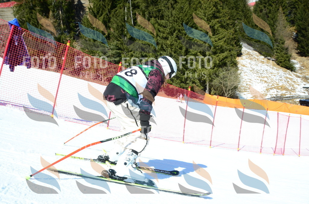 C6373 | holidayphoto